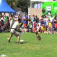 Petfinder: 4-legged Fitness