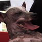 play video on Discovery Channel