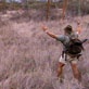 Survival Zone: Savannah: Predators