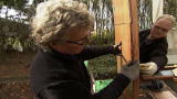 Renovation Nation 2: Keep Your Chicken Coop Simple