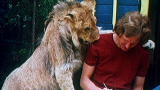 A Lion Called Christian: Christian the Lion in the Country