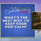 Groomer Has It: Pet Pointers