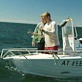 Great White Down Under: Tiger Tagging