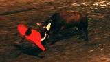 Wreckreation Nation: Bull Victim Speaks