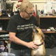 Mythbusters Raw: The Best Dog in the World