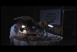 Mammals Vs. Dinos: Coelophysis Domination