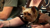 Groomer Has It 2: A Note from Nemo