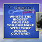 Groomer Has It: Pet Pointers -- Doggie Couture