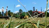 Earth: Grass Is King on Livestock Farm