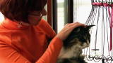 Housecat Housecall: Phoebe & Jack