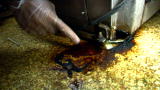 Dirty Jobs: Turd Burner