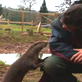 Saving Grace the Otter: Webisode 21