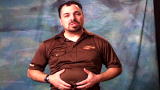 Could You Survive?: Meet Steve