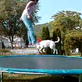 Bissell Pet Games Week 6: Henessee Jumping