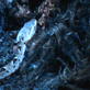 Killer Clips: Tarantula vs. Snake