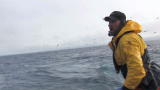 Deadliest Catch: Man Overboard