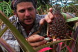 play video on Discovery Channel