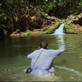 Man vs. Wild: African Savannah Upstream