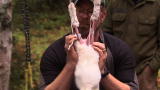 Out of the Wild: How to Skin a Rabbit