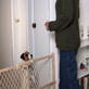 Petfinder: Tips for Jumping