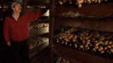 Emeril Green 2: Mother Earth Organic Mushrooms