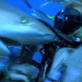 Discovery Promos: 15 Sec Shark Week Promo - Shark Tribe