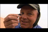 Buggin&rsquo; With Ruud: Fog Basking Beetle