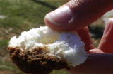 G-Word Online Clips: Green - Tech Smart Sponge