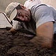 Dirty Jobs: Mud Bath Technician