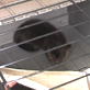 Saving Grace the Otter: Webisode 2