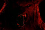 Lost Tapes: Skinwalker