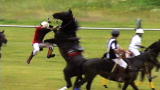 Untamed and Uncut: Freak Polo Accident