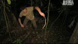 Night: Bagging a Deadly Snake