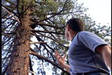 Jeff Corwin Experience: Jeff Corwin Boar