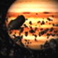 The Planets: Different Worlds - Accretion