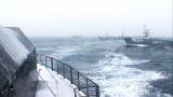 Whale Wars: From Out of the Mist