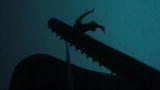 News: Thieving Whale Caught On Tape!