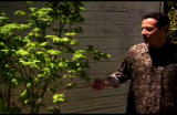 David Gottfried Video Blog: Landscaping