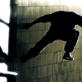 Human Body: STRENGTH - Street Gymnast