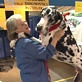 AKC/Eukanuba: Meet Gibson