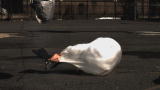 Time Warp: Air Bag Deployment