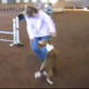 Bissell Pet Games Week 5: Standard Run Level 3 Title
