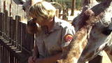 Cool Jobs: Giraffe Keeper