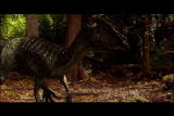 Dinosaurs: Dilophosaurus A Triple Treat