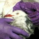Dawn Ad: Released: Trailer - Video from our sponsor DAWN