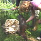 Saving Grace the Otter: Webisode 5