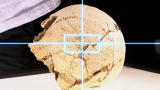 $module.bottomSection.imageAltText