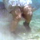 Shark Week: Bull Shark Bite