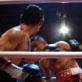 Fight Quest Snap-Ins: Fight Night