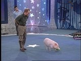 play video on Discovery Channel